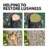 Pruning Wound Sealer Tree Wound Sealant Pruning Sealant for Trees with Brush