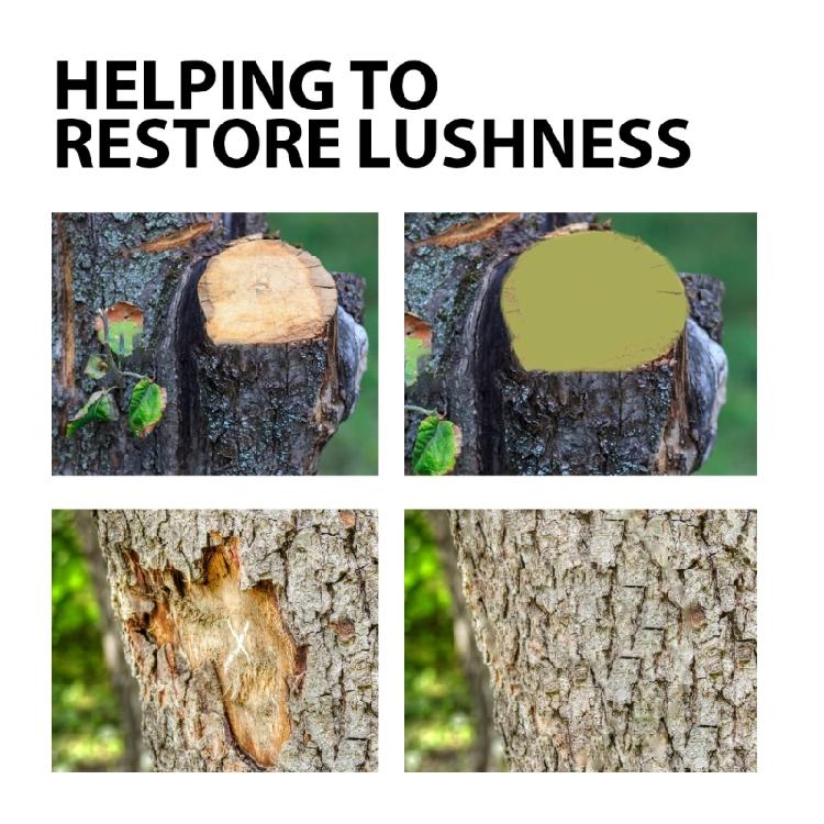 Pruning Wound Sealer Tree Wound Sealant Pruning Sealant for Trees with Brush