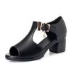 Fashion Fish Mouth Sandals Womens 2025 Summer New Roman Womens Thick Heel Medium Heel Women's Shoes Fashion Versatile Women High Heels