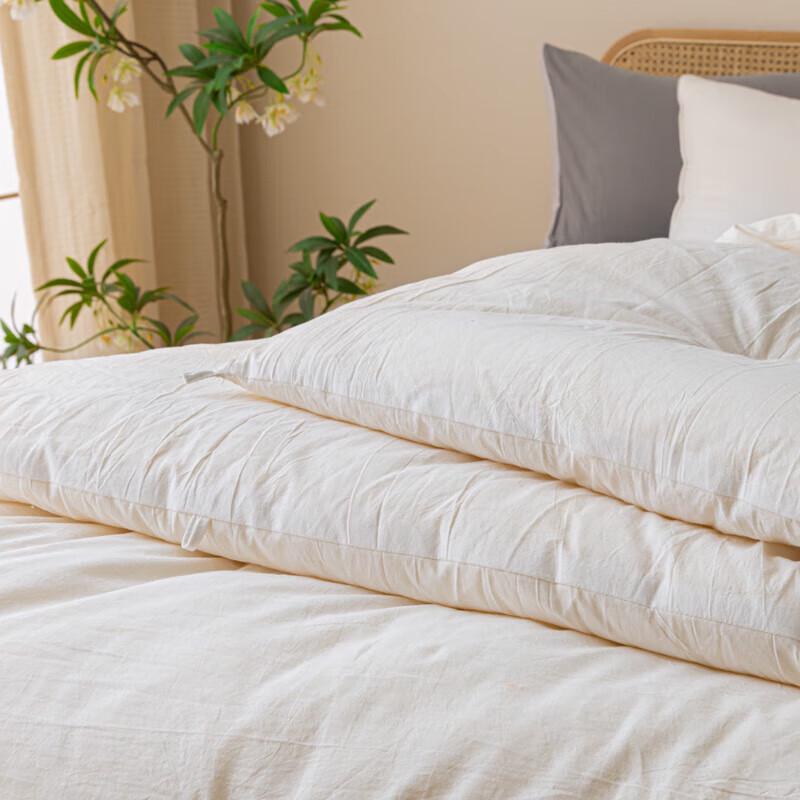 Jieliya Soybean Fiber Quilt