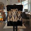 Little Lion pattern Flannel Blanket, High quality Comfortable for All Seasons, Home Decor, Warmth and Comfort, Perfect for Gifts.