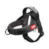 Color Block No-Pull Dog Harness for Small Dogs - Comfortable Adjustable Reflective Pet Vest with Padded Straps Outdoor Walking