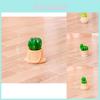 Charming Miniature Resin Cactus For Desk Diy Garden Accessories Cute Plant Decor