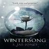 Wintersong by S JaeJones Paperback Book 9781785655449