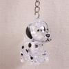 Cute Transparent Dog Hair Storage Cute Pendant Keychain Bag Pendant Couple Car Key Chains Jewelry Souvenir Collection Gift