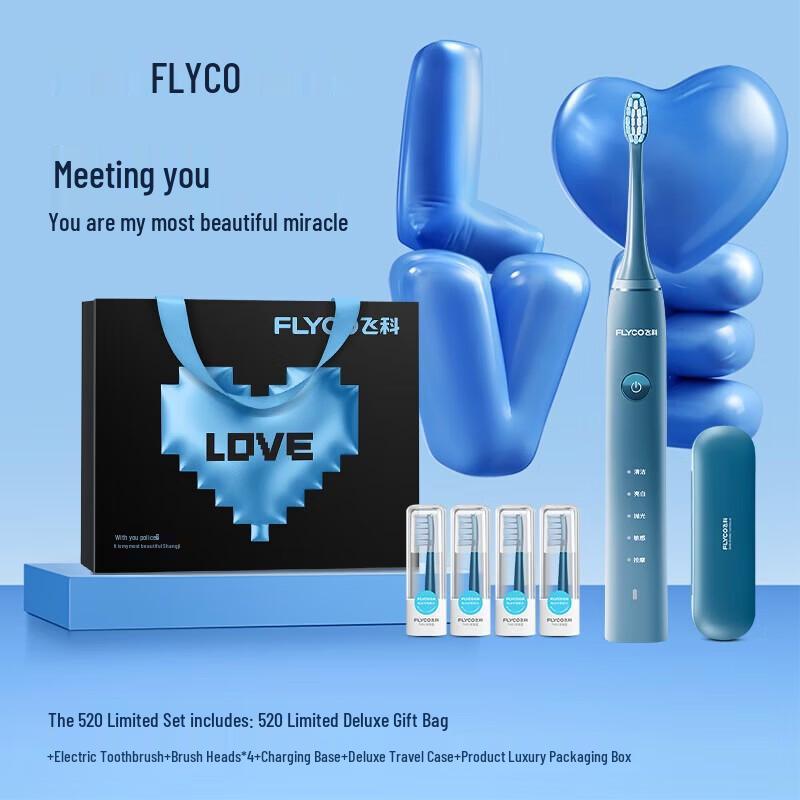 FLYCO FT7105 Sonic Electric Toothbrush