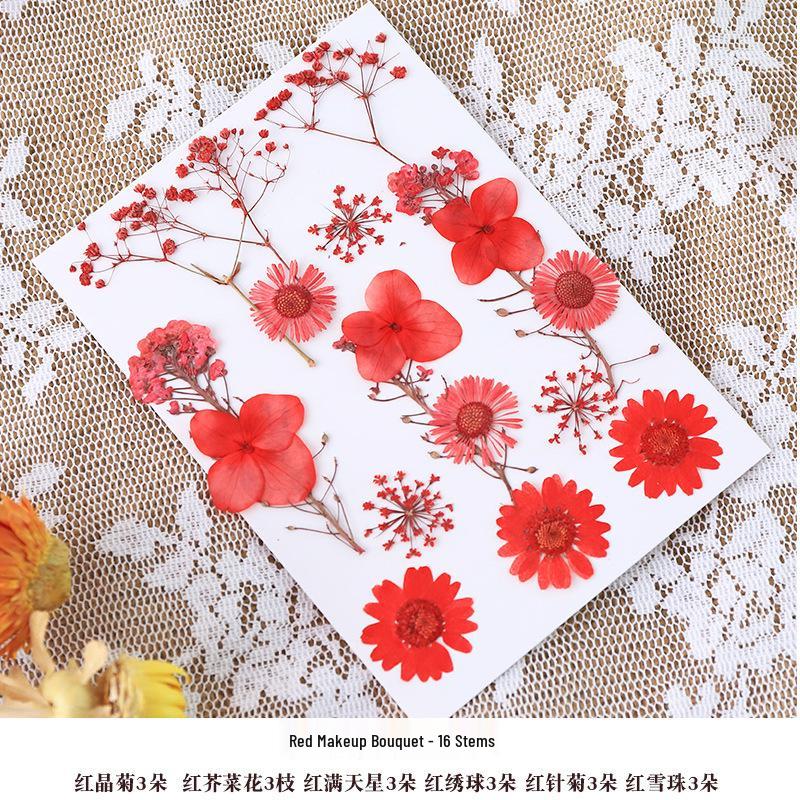 Nordic Creative DIY 3D Dried Flower Frame Kit - Simple Metal & Glass with Glue