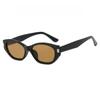 1pc Women's Cat Eye Fashion Glasses Retro Classic Summer Neutral Holiday Beach Back to School Wear Matching Accessories