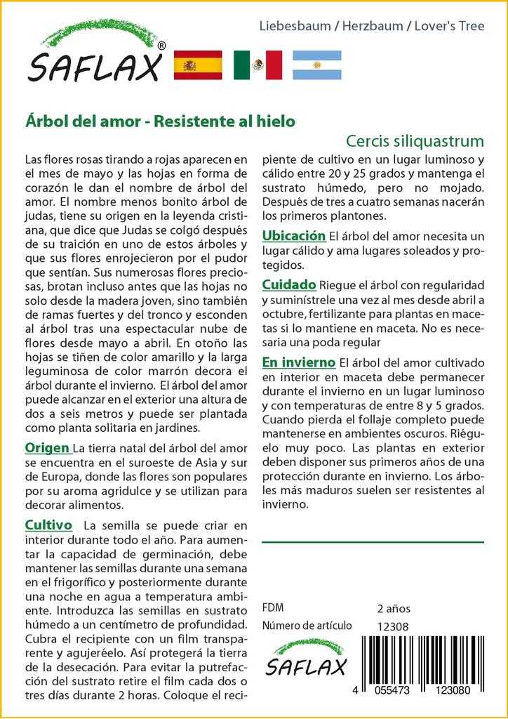 SAFLAX Ľubovníkový strom - 60 semien - Cercis siliquastrum