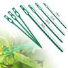 10-100PCS 13/17/22cm Adjustable Plastic Plant Cable Ties Reusable Shrub Fastener for Garden Tree Climbing Support Vine Tomato Stem Clip
