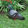 Ornaments Yard Art Decor Pigeon Sculpture Realistic Wild Pigeon Decorations Acrylic Pigeon Statues