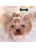 New Dog Hairpin Puppy Kitten Bone Hair Clips Cute Duckbill Clip Pet Hair Accessories Pet Hair Grooming Dog Accessories