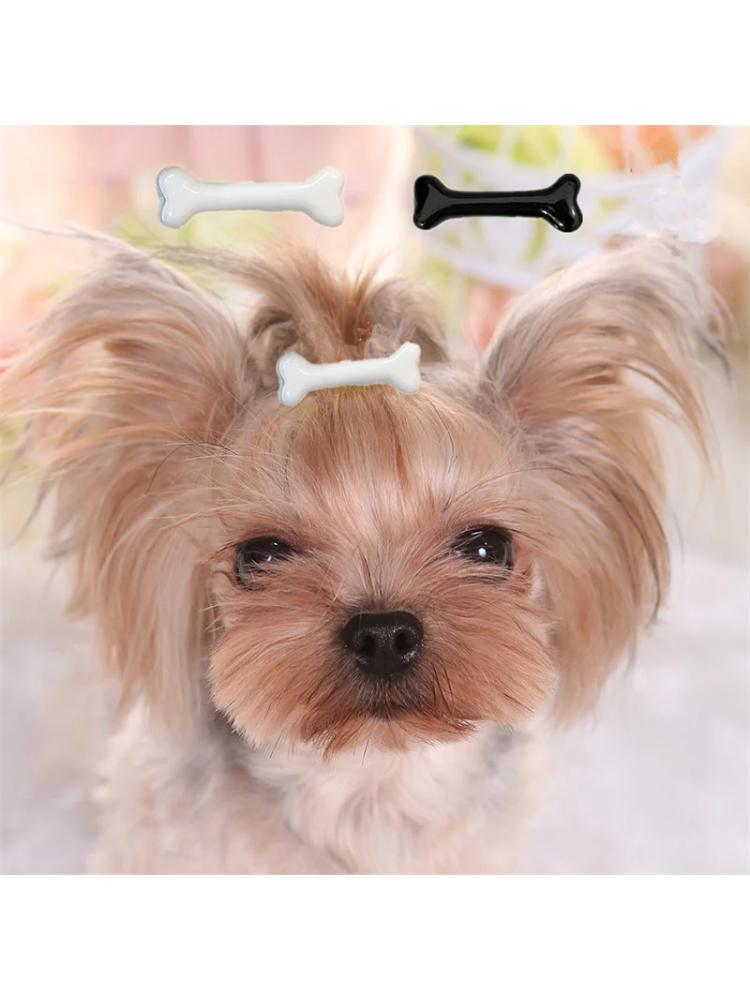 New Dog Hairpin Puppy Kitten Bone Hair Clips Cute Duckbill Clip Pet Hair Accessories Pet Hair Grooming Dog Accessories