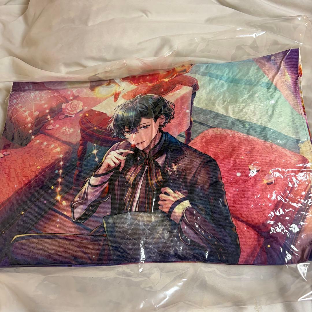 [USED] Break My Case Bremai Anniversary Book Bonus Cushion Tamano Yura