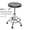 Premium Anti-static Lab Stool with Backrest and Silent Design