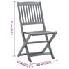 VidaXL Set of 2 Outdoor Folding Chairs with Cushions, Patio Seats, Dining Chairs, Patio Furniture 3064536