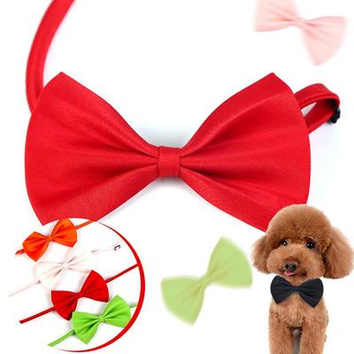 Giyim ve ayakkabı – Köpek Aksesuarları