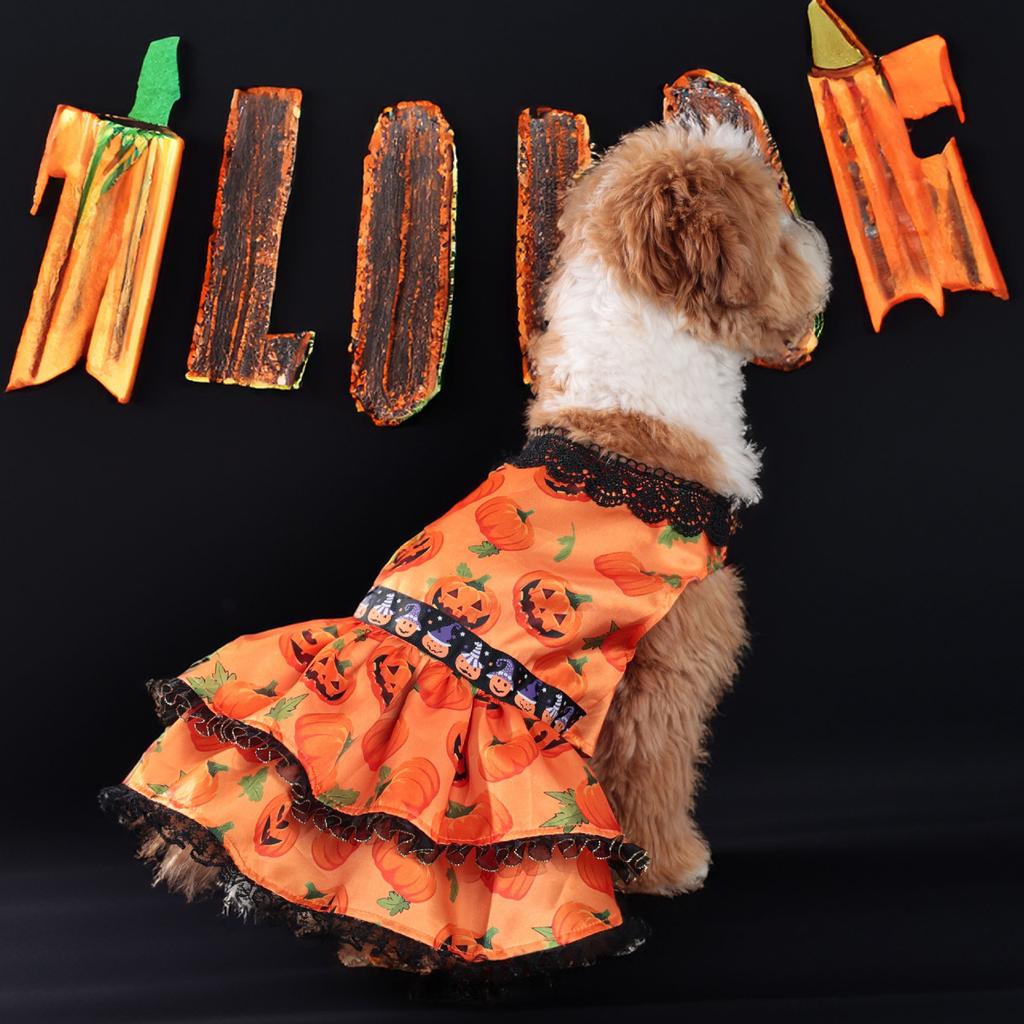 Popular Halloween Pet Supplies Dog Clothes Costumes Pumpkin Skirts and Small Dog Lace Skirt Dog Dress White Girl Dog Clothes