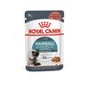 Royal Canin Hairball Care 85g x 12 bags FHN-WET (case sale)