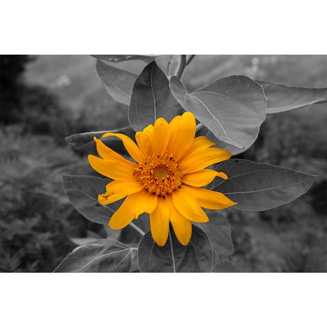 Graue Serie von Pflanzenblumen, dekoratives Gemälde, Sonnenblumen-Ölgemälde, Poster, Sofa, Wandhintergrund, Kunst, Leinwand, hängendes Gemälde