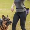 Dog Training Bag Portable Waist Snack Pouch Outdoor Use Wear Resistant Quick Access Treat Holder Pet Food Storage Convenient