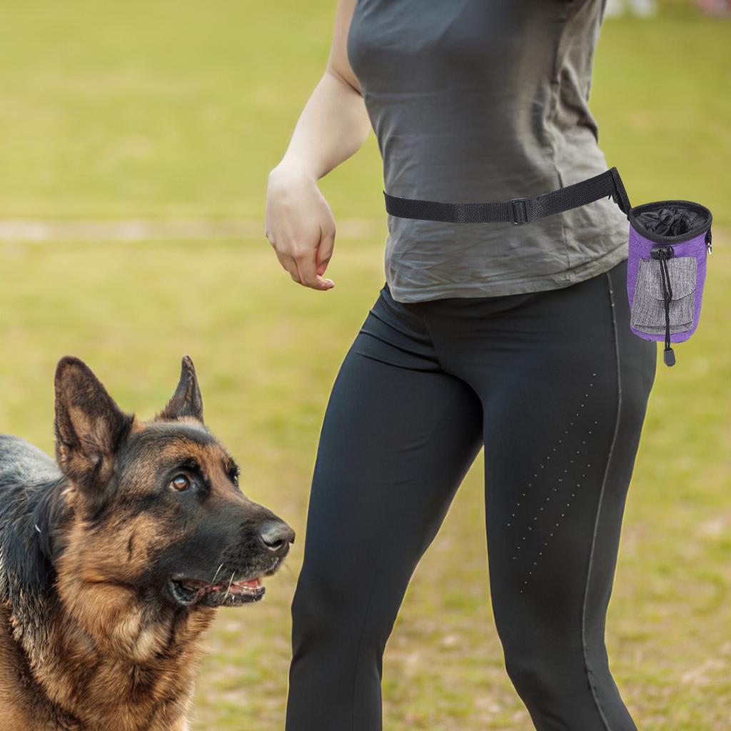 Dog Training Bag Portable Waist Snack Pouch Outdoor Use Wear Resistant Quick Access Treat Holder Pet Food Storage Convenient
