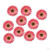 10 Count Artificial Daisy For DIY Craft Projects Baby Shower