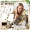 Interactive Catnip Toy With Feather, Mesh Tube & Silvervine Sticks, Cats Chew Toy For Teeth Cleaning, Self-Play  Toy For Boredom Relief, Indoor
