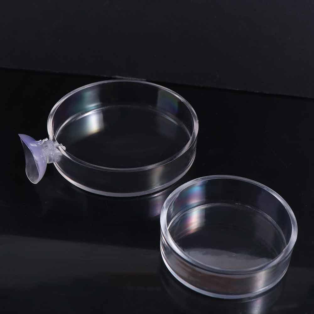 Accessories Durable Transparent Fish Feeding Dish Fish Feeding Bowl Shrimp Feeder Shrimp Food Box