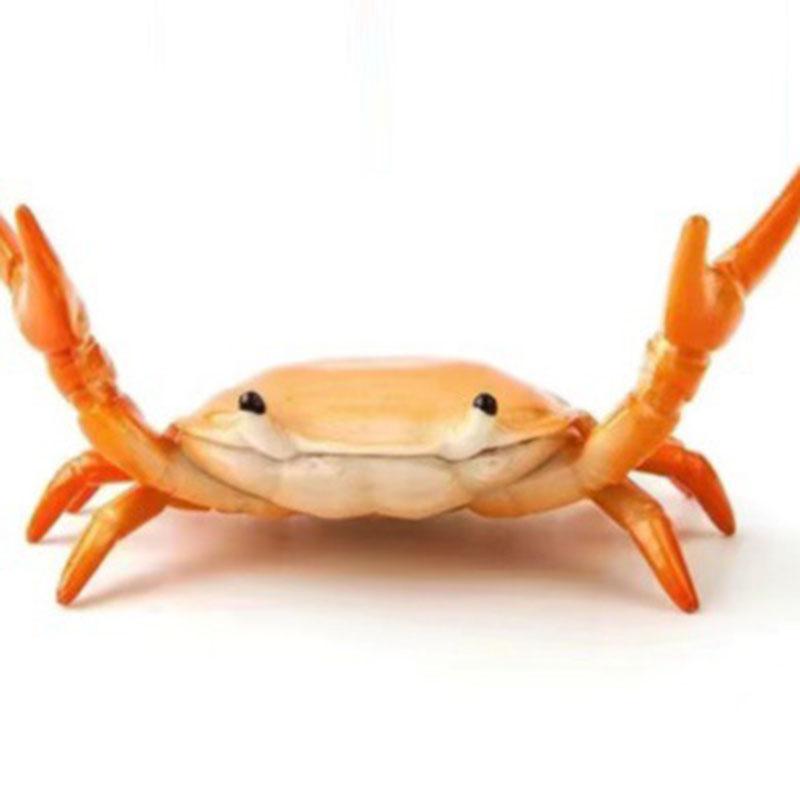 Funny Crab Pen Holder Desktop Creative Lift Weight Stationery Organizer Cute Decor For Desk Work Office Study Ins Aesthetic 2026