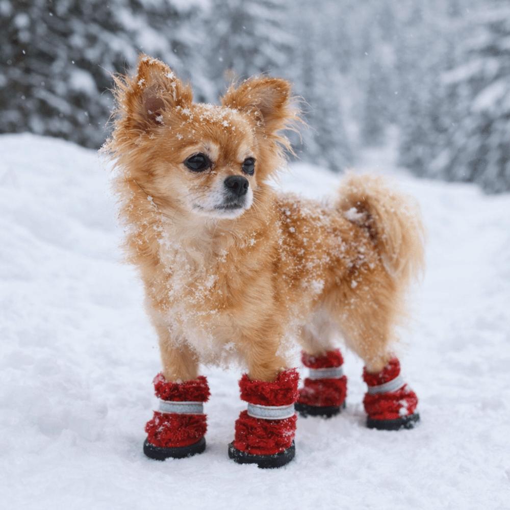 4 pcs/set Wear-Resistant Anti-Slip Dog Shoes Anti-Scratch Winter Dog Boots Dog Snow Boots  Hiking
