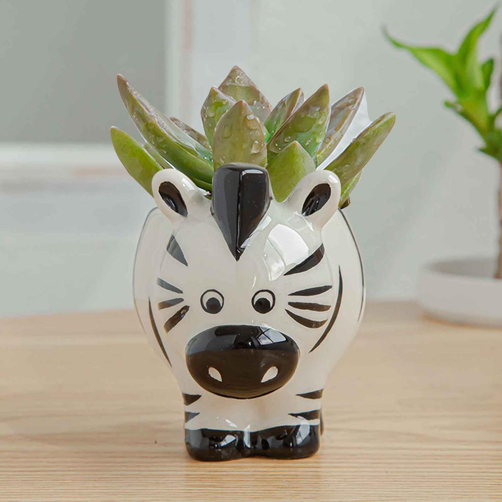 Vaso Gufo Ceramica Vaso Piante Cactus Piantato in Vaso Set Vasi Bonsai