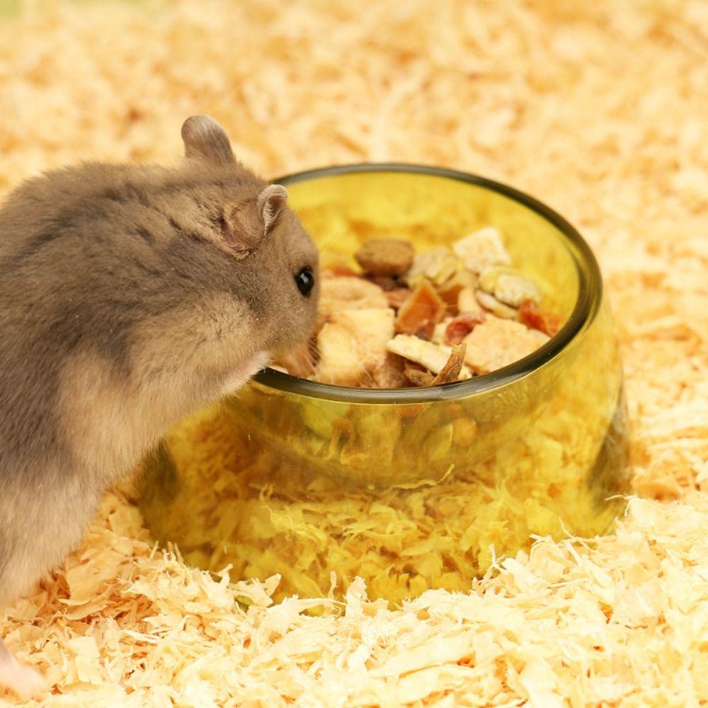 Non-slip Hamster Water Bowl Bite Resistant Pet Feeding Bowl For Rats Hamster Guinea Pig