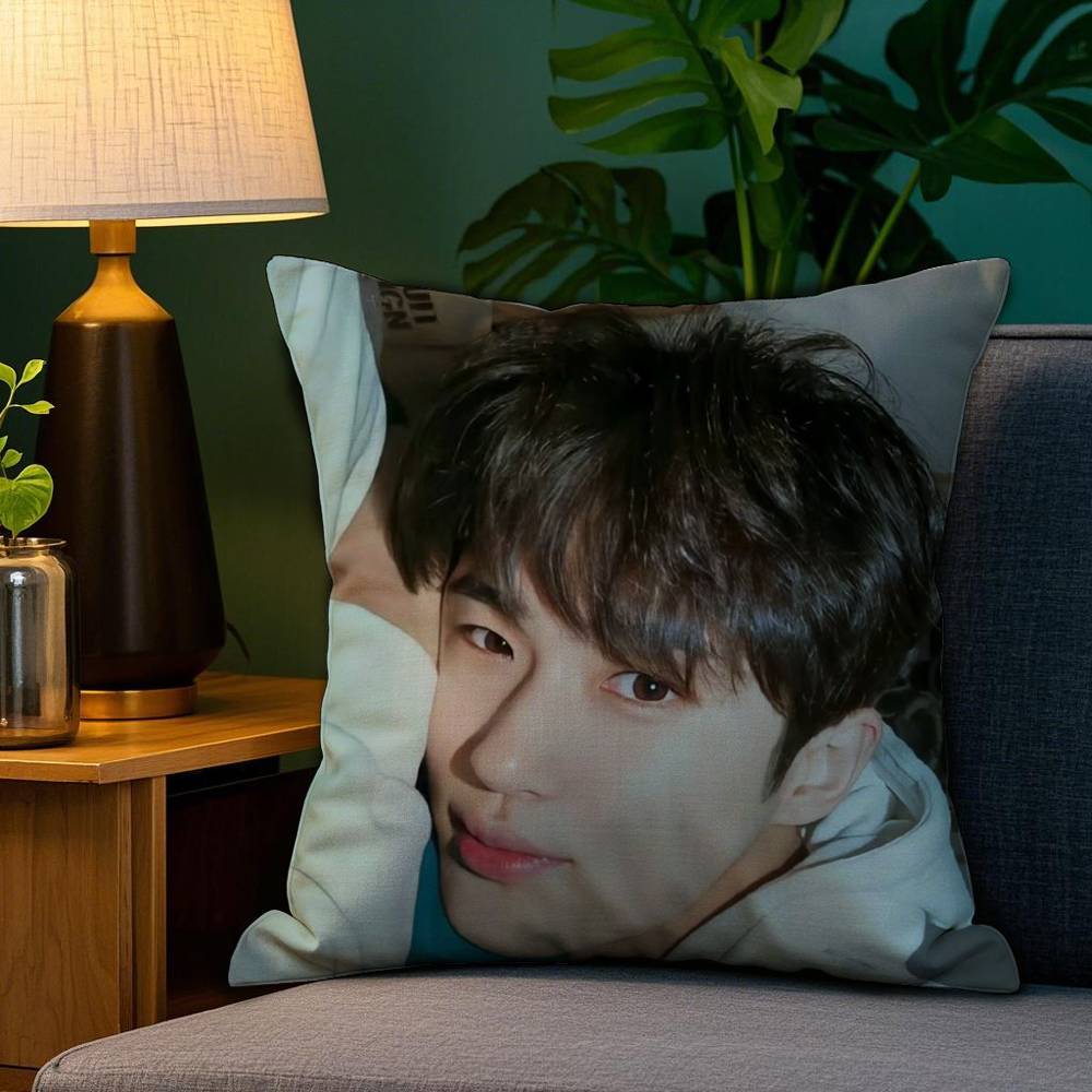B-Byeon Woo-seok Korea Pillow Case Plush Fabric Soft Double Sided Print Sofa Cushion Cover Throw Pillow Covers