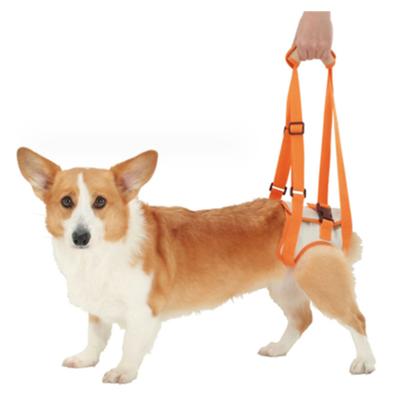 Supporto Regolabile per Anca e Zampe Posteriori per Cani, Imbracatura di Sollevamento per Cani, Accessori per Animali Domestici per Aiuto Canino e Riabilitazione dei Legamenti