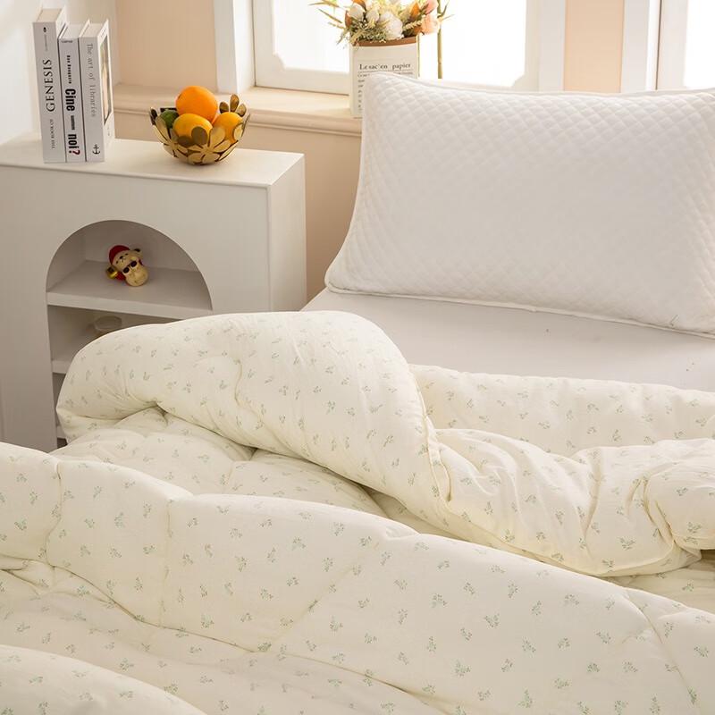 HMHM Cloud Cotton Winter Duvet