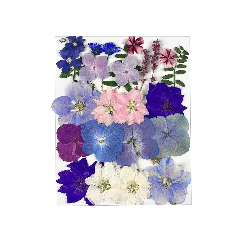 25PCS Dried Flowers Set for DIY Resin Pendant Making Filling Pressed Real Natural Flowers Leaves for Bookmark Phose Case Making