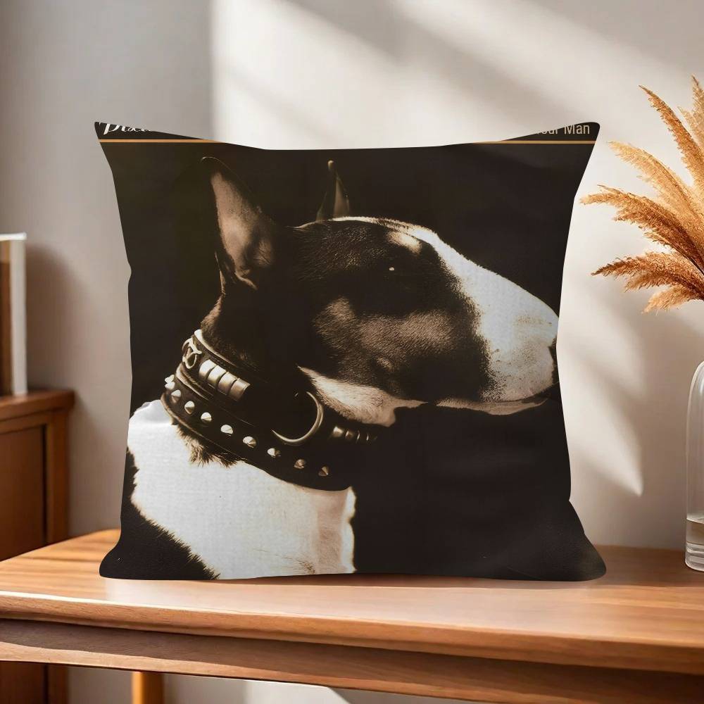 Rock Band PPixies Doolittle   Personalized picture text home decorative pillows Household Gifts xcm