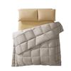 JDZ Premium Down Winter Comforter