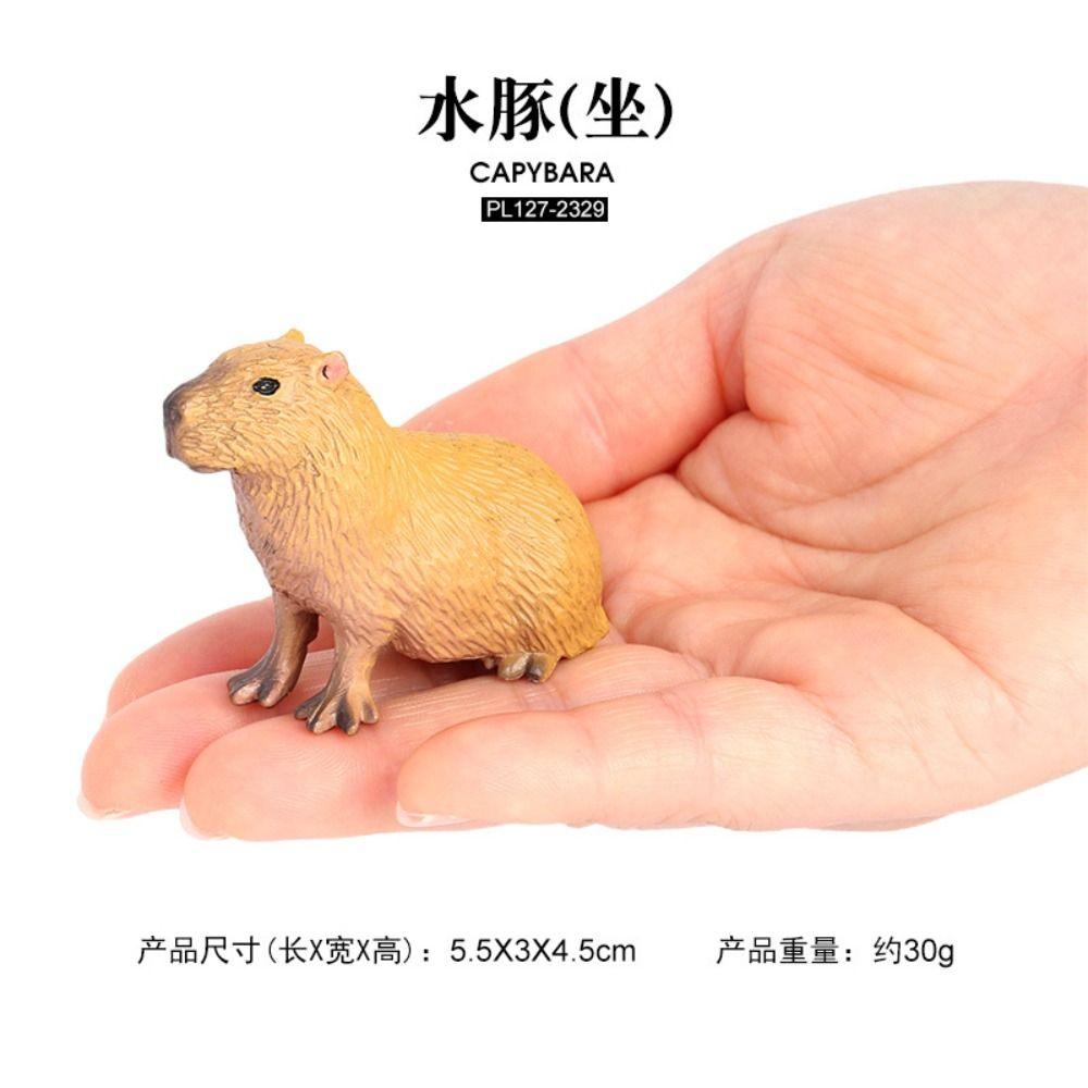

Toys Mini Wild Animal Model Capybara Model Toys Capybara Action Figure Water Dolphin Action Figure B