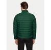 Down Jacket Boss Darolus 50464308 Green Regular Fit