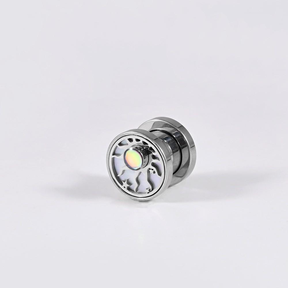 Sun Star Design Ear Gauges Stainless Steel Ear Plugs Trendy Earring Plugs  for Tragus Piercing