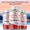 Antarctische krillolie capsules, rijk aan Omega 3 en astaxanthine, 1000 mg per portie, ondersteunen de gewrichtsgezondheid.