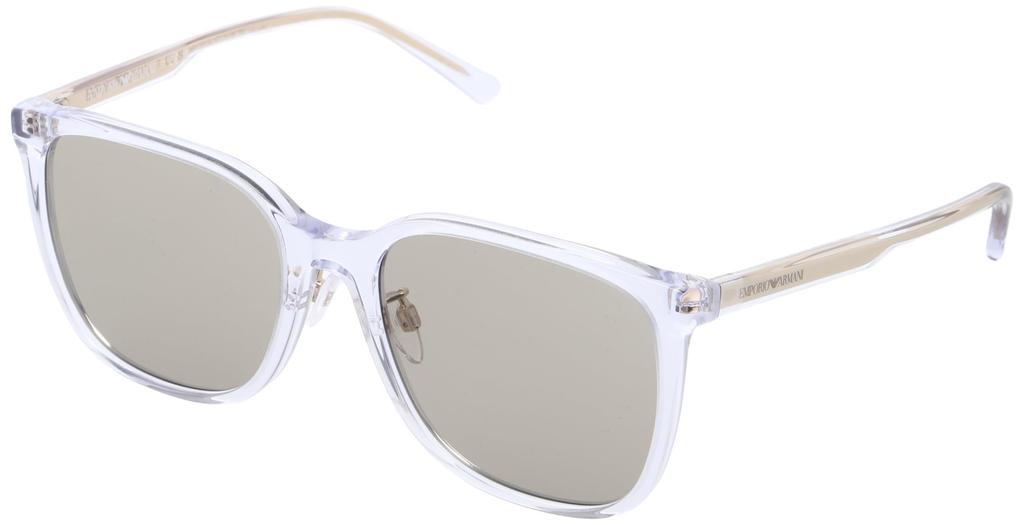 Sunglasses EA4206D SHINY CRYSTAL BROWN Lens 57 [Emporio Armani] Frame/LIGHT