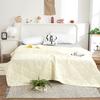 Factory Price Silk Blanket Silky Cooling Thin Quilt Summer Blanket Can  Machine-Wash Single/Queen/King Size