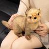 PP Cotton Brown Otter Plush Toy Soft Simulation Otter Toy Doll  Decorate Present