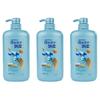 Daily Care Anti-Dandruff Refreshing Shampoo 3x1000ml Family Pack