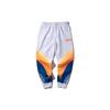 Li Ning Knitted Sweatpants Men's White Moderate Cuffed Pants AYKP653-2