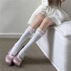 Lace Ruffle Slouch Socks for Women | Knee High Cute Hot Girl Bowknot JK Calf Socks