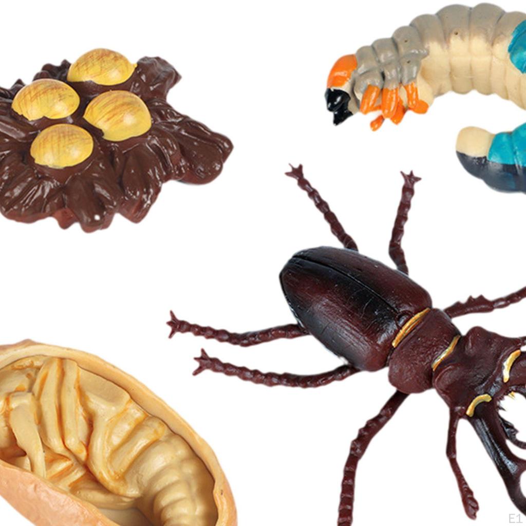 Animal Model Toy Worms Growth Cycle Ornaments Educational Set for Kindergarten Boys Children